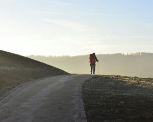 Laufen und Wandern am Brombachsee Seenland