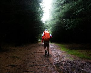 Laufen und Wandern am Brombachsee Seenland