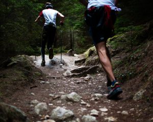 Laufen und Wandern am Brombachsee Seenland